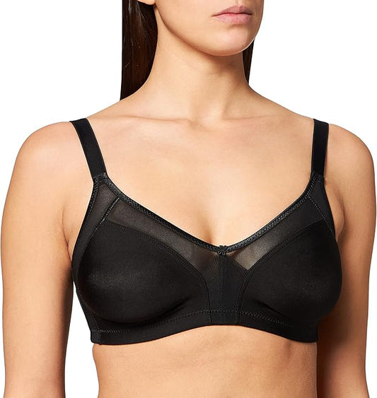REGGISENO ESTELA D