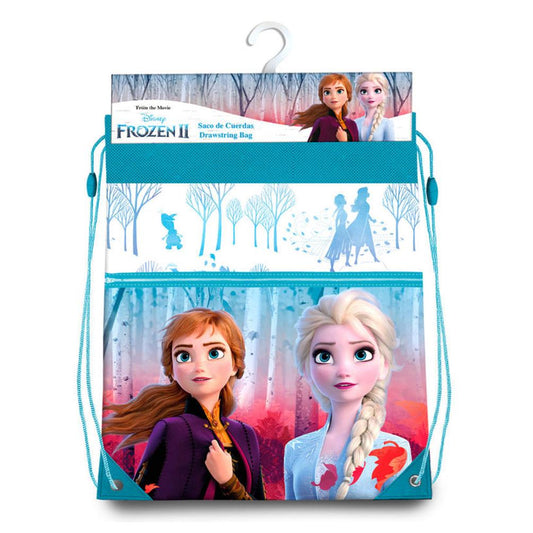 SACCA FROZEN